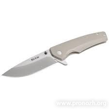   Buck  Odessa, Satin Finish Blade, Stainless Steel Handle