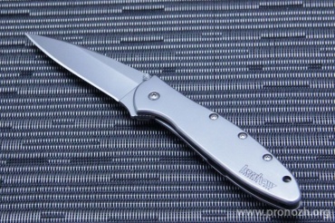 Складной нож Kershaw Leek, Sandvik 14C28N Steel, Bead Blasted Blade, Bead Blasted Stainless Steel Handle