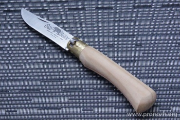   Antonini Knives  Old Bear Olive M, Satin Finish, Olive Wood Handle