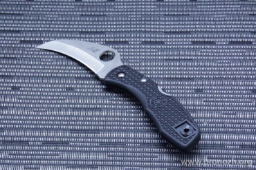    Spyderco Tasman Salt, Plain Edge, Black FRN Handle