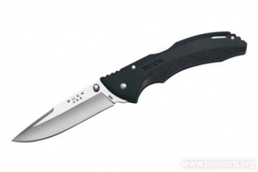   Buck  Bantam, 420HC Steel, Satin Finish Blade, Black GRN Handle