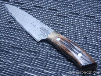    Maruyoshi Gyuto by Saji Takeshi, VG-10 Core Forged with Nickel Damascus, Stag Bone Handle