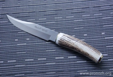   Muela Serie SH-16, Stag Handle