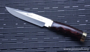   Muela  Bowie-18L, Pakka Wood Handles