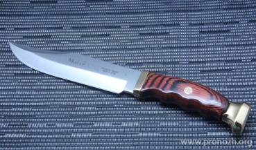   Muela  Bowie-18, Pakka Wood Handles