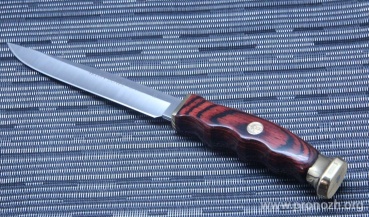   Muela Bowie-14R, Pakka Wood Handle