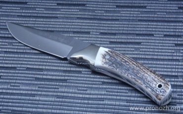   Muela Setter-11A, Stag Handle