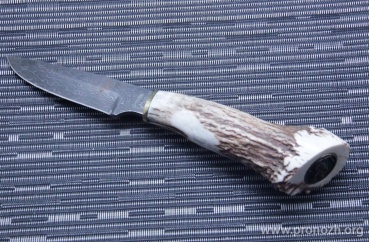   Muela Vareto Damascus, Stag Handle