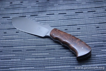   ARNO BERNARD Rhino Desert Ironwood