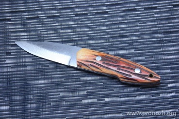   Maruyoshi M-81 by Saji Takeshi, VG-10 Core Forged with Nickel Damascus, Stag Bone Handle