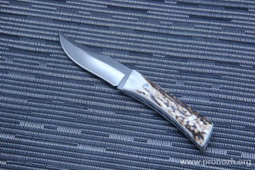   Muela Criollo Bowie-8A, Stag Handle