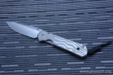   Chris Reeve Large Sebenza 21 Unique Graphic Glorious