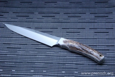   Muela Criollo 17A, Stag Handle