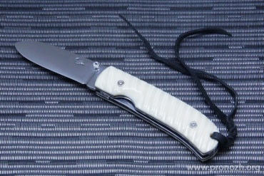    CITADEL  Fidel, Sp Bone Handle